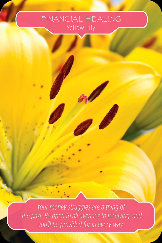 Yellow Lily ~ Financial Healing: “Your money struggles are a thing of the past. Be open to all avenues to receiving, and you will be provided for in every way.”