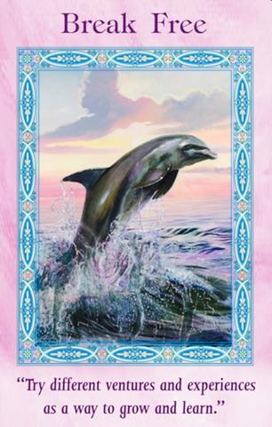 BREAK FREE: "Try different ventures and experiences as a way to grow and learn."