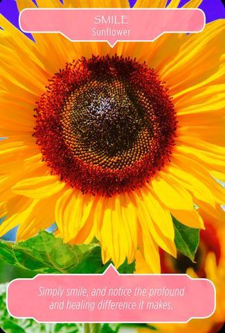 Sunflower ~ Smile: “Simply smile, and notice the profound and healing difference it makes.”
