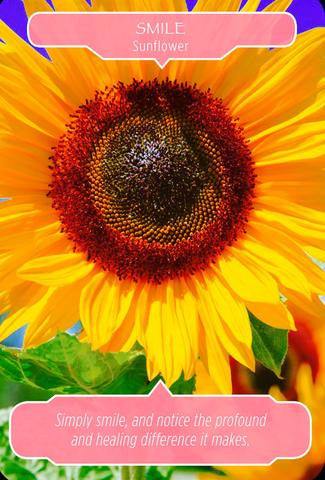 Sunflower ~ Smile: “Simply smile, and notice the profound and healing difference it makes.”