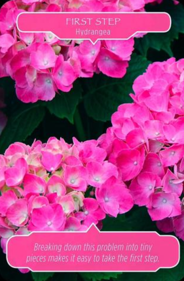 First Step ~ Hydrangea: “Breaking down this problem into tiny pieces makes it easy to take the first step.”