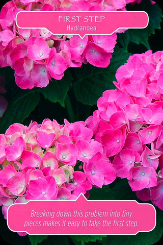 First Step ~ Hydrangea: “Breaking down this problem into tiny pieces makes it easy to take the first step.”