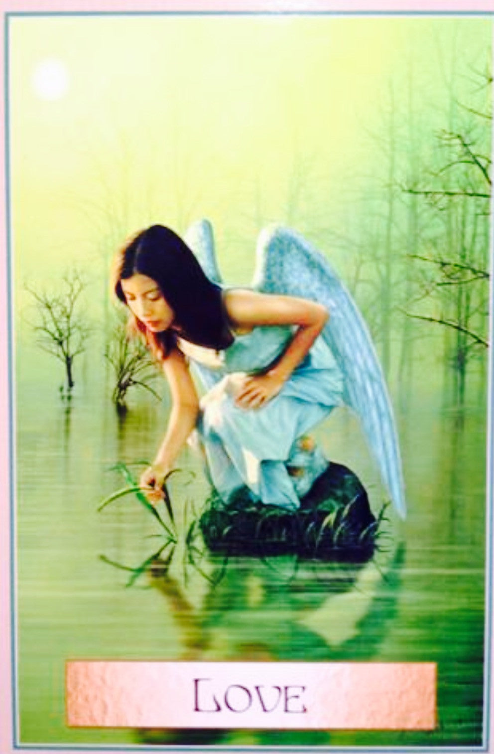 “An angel surrounds you with her wings of light. She is here to remind you that there is more to life than your achievements, degrees and possessions.