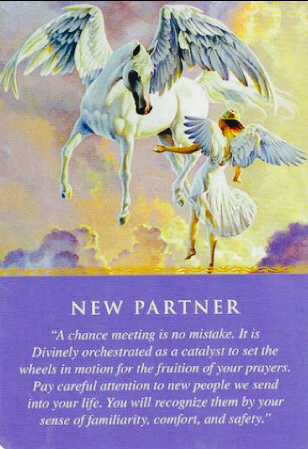 Message from the Angels: New Partner