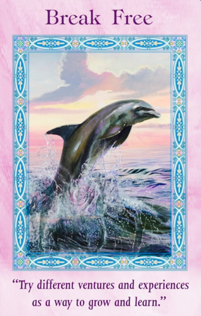 BREAK FREE: "Try different ventures and experiences as a way to grow and learn."