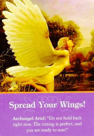 Message from Archangel Ariel:  Don’t hold back right now.  The timing is perfect, and you’re ready to soar!