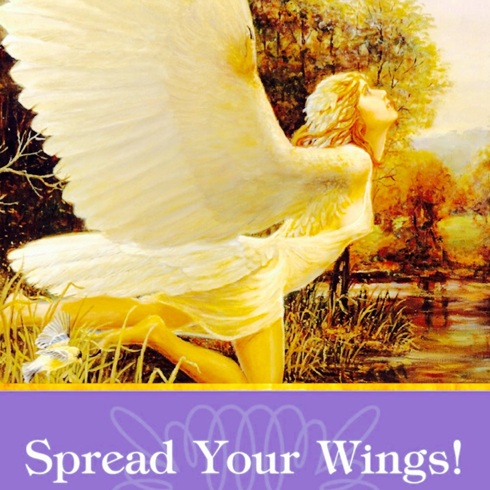 Spread Your Wings! - Archangel Ariel: “Don’t hold back right now. The timing is perfect, and you’re ready to soar!”