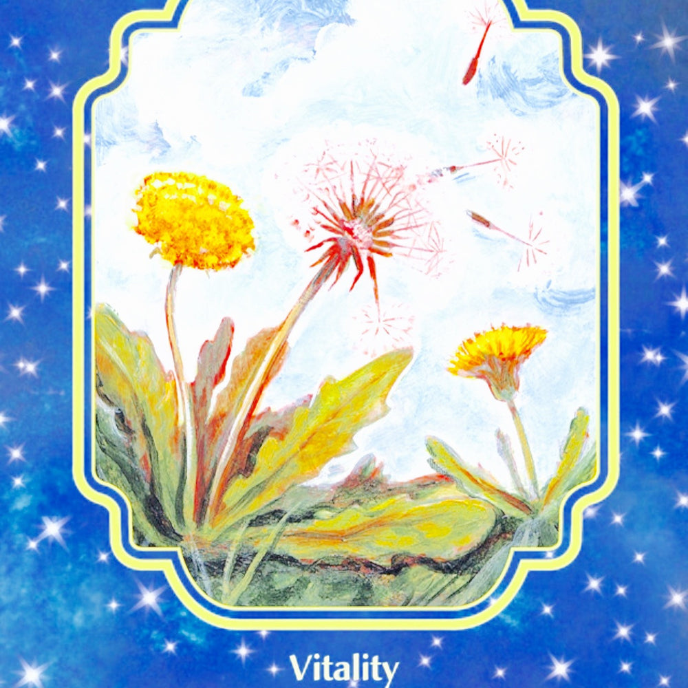 Dandelion: “Vitality ~ Empowerment ~ Perseverance.”