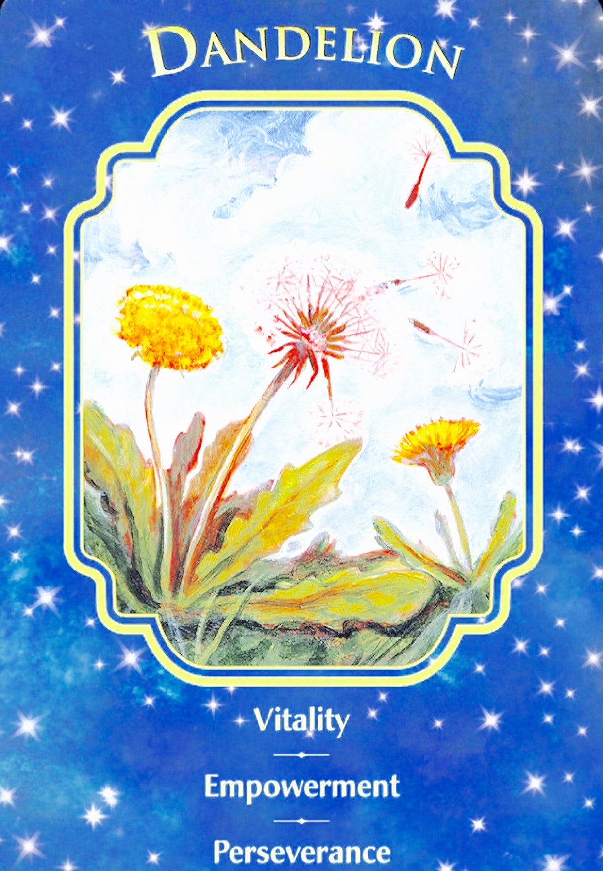 Dandelion: “Vitality ~ Empowerment ~ Perseverance.”